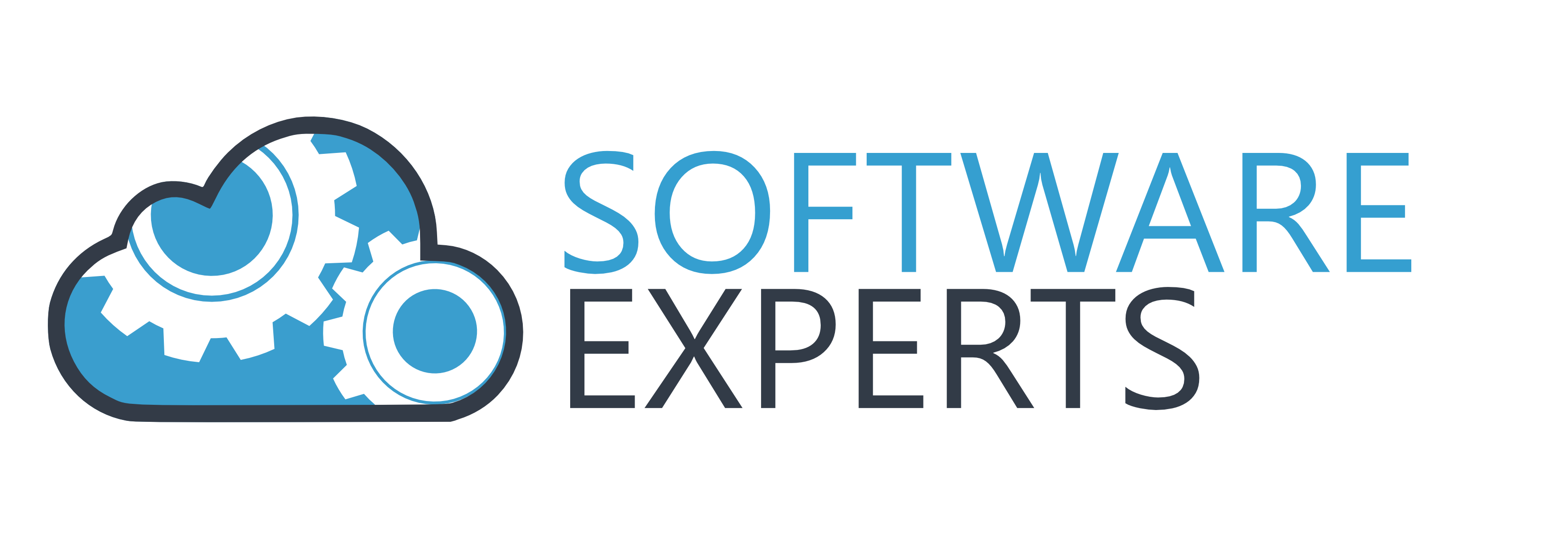 Software Experts